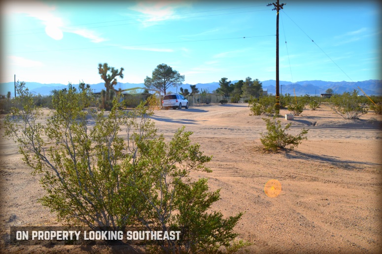 Shifting Sands Drive